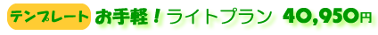 �e���v���[�g�@�E�@���C�g�v�����@40,950�~�i�ō��j