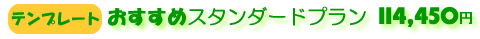 �e���v���[�g�E�X�^���_�[�h�v����11,4450�~