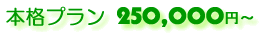 本格プラン・ホームページ制作料金250,000円から