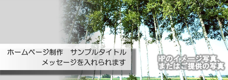 ホームページタイトル