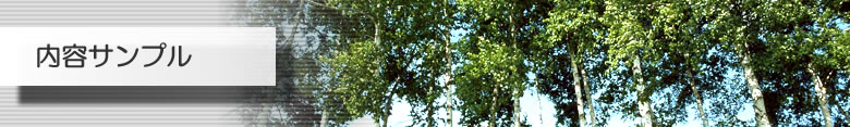 内容サンプルページ